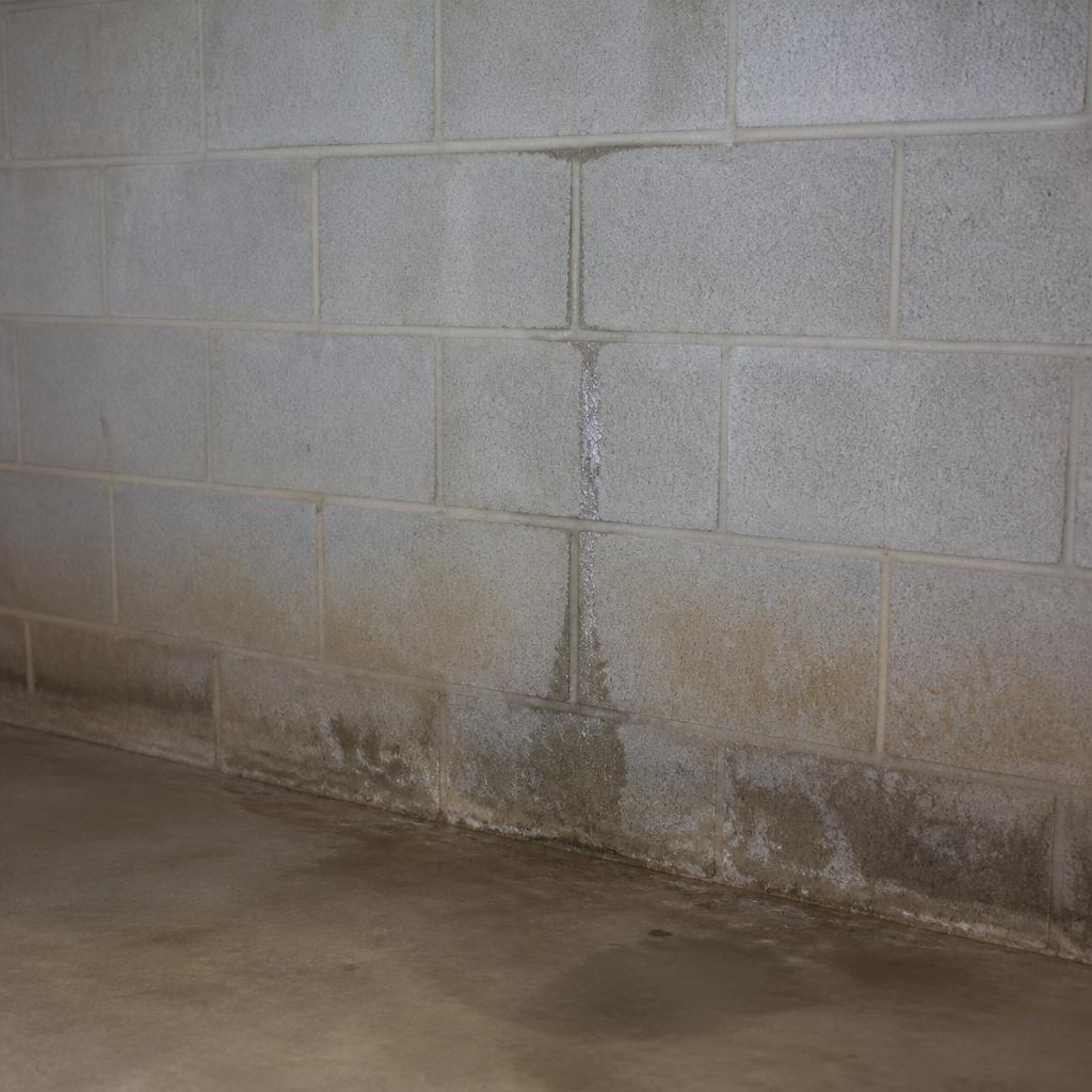 Moisture seeping through a masonry basement wall